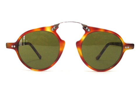 ase F. scott 001-01 sunglasses - honey tortoise
